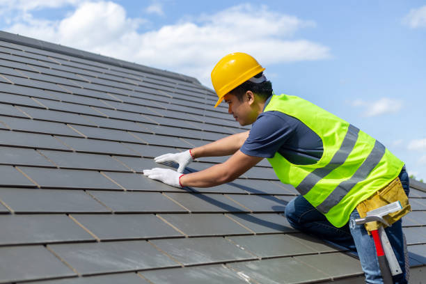 Best Roof Gutter Cleaning  in Petersburg, WV