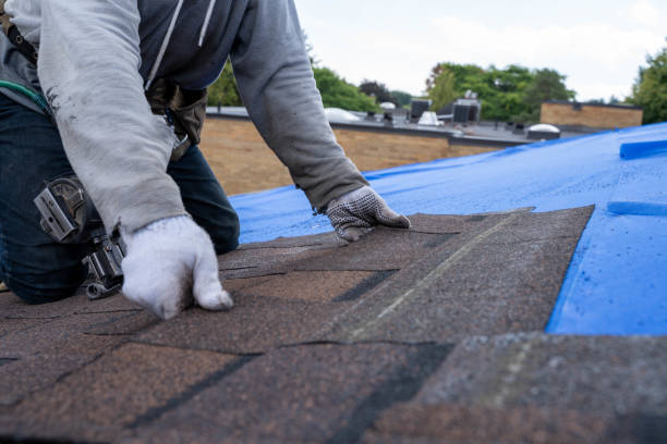 Best Roof Repair Services  in Petersburg, WV