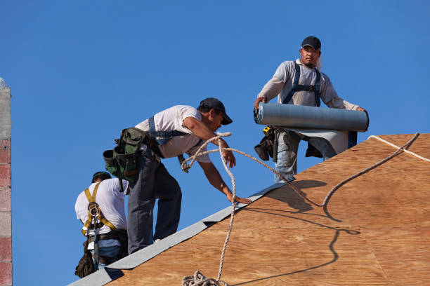 Best Shingle Roofing Installation  in Petersburg, WV
